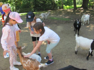 Školní výlet ZOO Olomouc