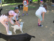 Školní výlet ZOO Olomouc