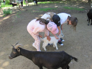 Školní výlet ZOO Olomouc