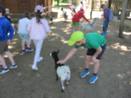 Školní výlet ZOO Olomouc