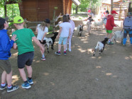 Školní výlet ZOO Olomouc