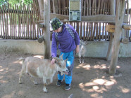 Školní výlet ZOO Olomouc