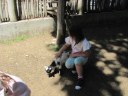 Školní výlet ZOO Olomouc