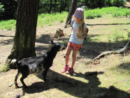 Školní výlet ZOO Olomouc