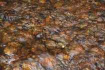 Geologické exkurze žáků 9. ročníku