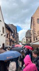 Poznávací zájezd do Štrasburku
