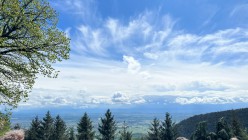 Poznávací zájezd do Štrasburku