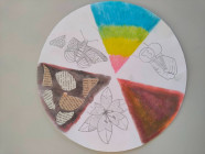 1. pololetí 2024/2025