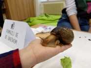 Veselé hrátky se zvířátky Veselé hrátky se zvířátky