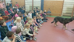 Policejní pes vycvičený na hledání výbušnin