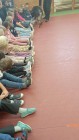 Policejní pes vycvičený na hledání výbušnin