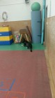 Policejní pes vycvičený na hledání výbušnin