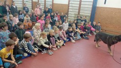 Policejní pes vycvičený na hledání výbušnin