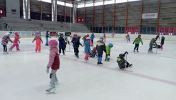 Bruslení
