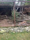 Třetí turnus prázdninové družiny