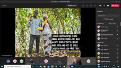 Ve stínu kakaovníku