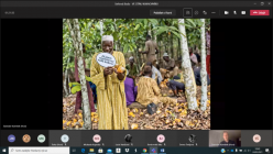 Ve stínu kakaovníku