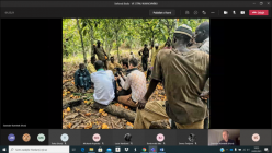 Ve stínu kakaovníku