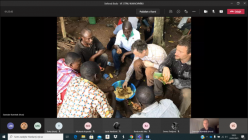 Ve stínu kakaovníku