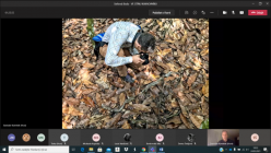 Ve stínu kakaovníku