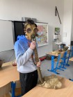 O československé armádě 30. let