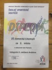 Oblastní kolo ve florbalu