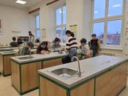 Vánoce v 8.C