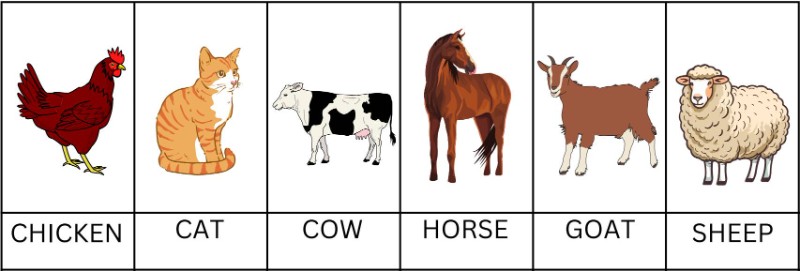 Zvířátka z farmy